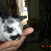 Photo #164287 de Obi-wan
