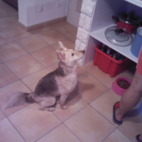 Photo #164371 de Betsy