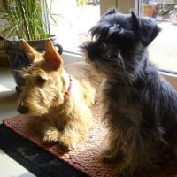 Photo #164947 de Débby