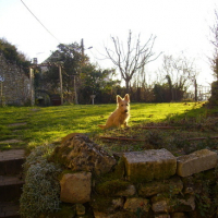 Photo #164953 de Débby