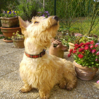 Photo #164965 de Débby