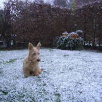 Photo #164971 de Débby