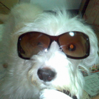 Photo #165211 de Nina