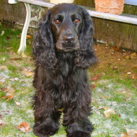 Photo #166723 de Brume