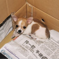 Photo #167251 de Alissandra