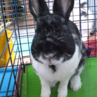 Photo #167737 de Tequila