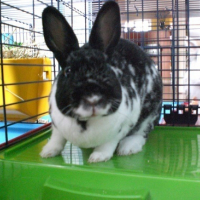 Photo #167743 de Tequila