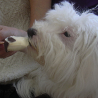 Photo #167773 de Dina