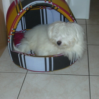 Photo #167779 de Dina