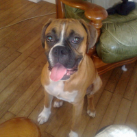 Photo #168181 de Derreck