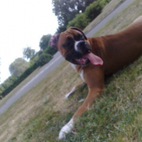 Photo #168187 de Derreck