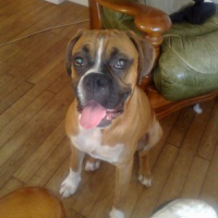 Photo #168193 de Derreck
