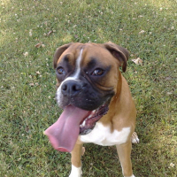 Photo #168199 de Derreck