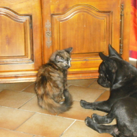 Photo #168487 de Elsie