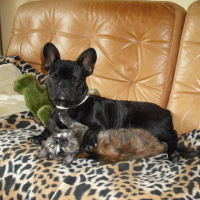 Photo #168493 de Elsie