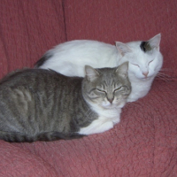 Photo #168511 de Minouch