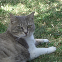 Photo #168517 de Minouch