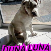 Photo #168553 de Duna