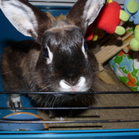 Photo #168979 de Orégon