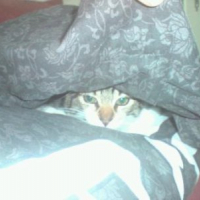 Photo #169021 de Dadou