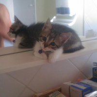 Photo #169027 de Dadou