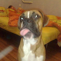Photo #169033 de Derreck
