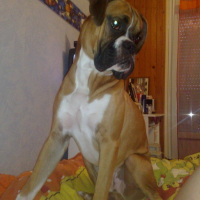 Photo #169039 de Derreck