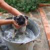 6 mois et premier bain!