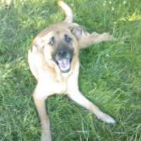 Photo #169759 de Dolly