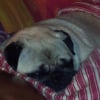 Photo0206