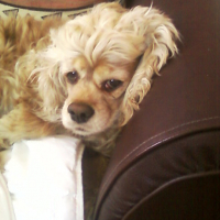 Photo #169807 de Maya