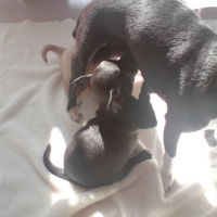 Photo #170611 de Corie