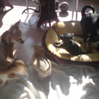 Photo #170617 de Corie