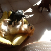 Photo #170623 de Doug