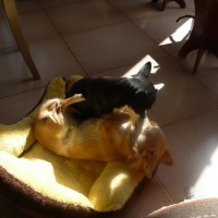 Photo #170629 de Doug