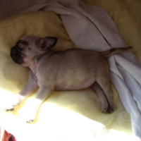 Photo #170647 de Neïla
