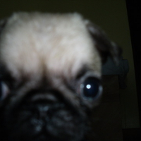 Photo #170659 de Neïla