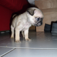 Photo #170665 de Neïla