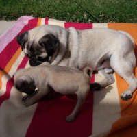 Photo #170671 de Neïla