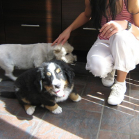 Photo #171037 de Oscar
