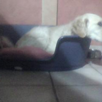 Photo #171685 de Aby