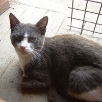 Photo #171943 de Matougras