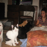 Photo #172801 de Missy junior and shorty