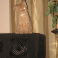 Photo #172825 de Jardy mcklain