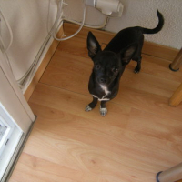 Photo #173077 de élanna