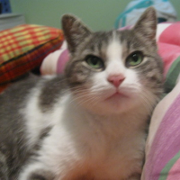 Photo #173125 de Vanille