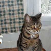 Photo #173221 de Lenny