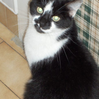 Photo #173233 de Lenny