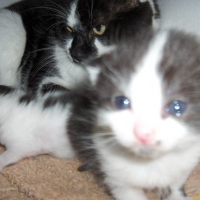 Photo #173239 de Lenny