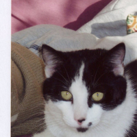 Photo #173245 de Lenny